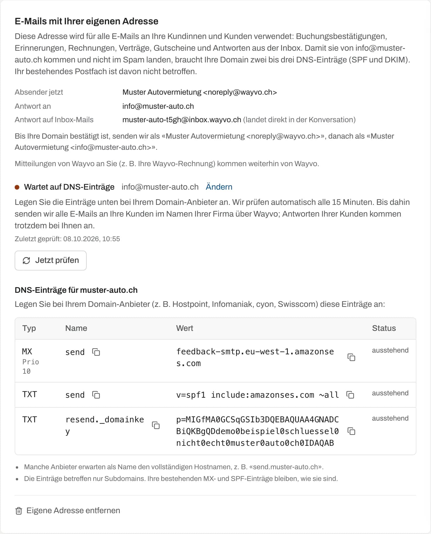 Bereich «E-Mails mit Ihrer eigenen Adresse» mit Status und DNS-Einträgen