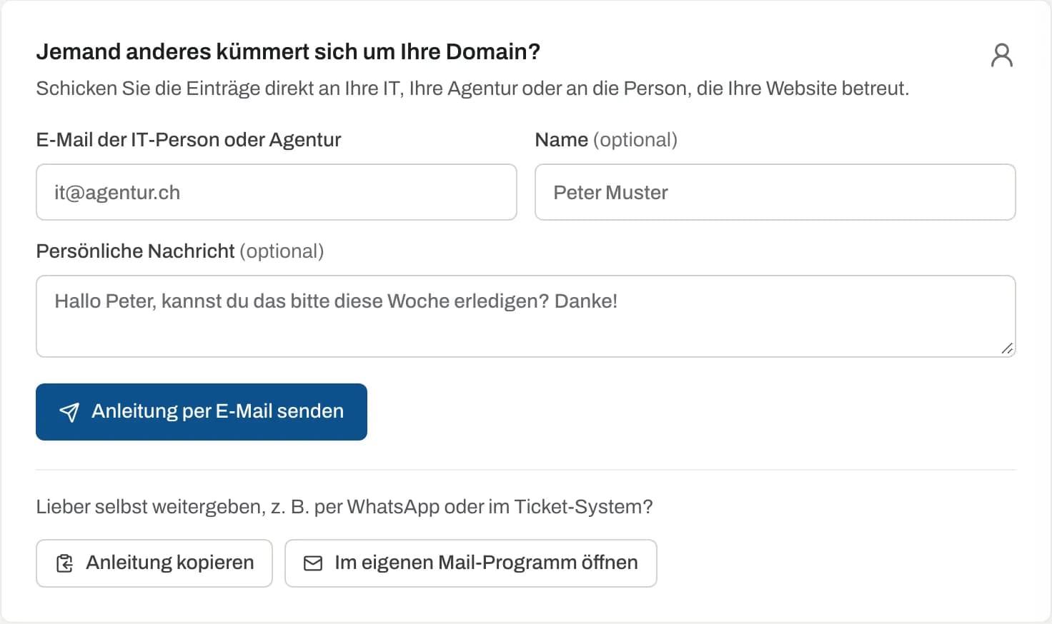 Bereich «Jemand anderes kümmert sich um Ihre Domain?» mit Formular für die IT-Person